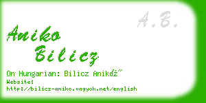 aniko bilicz business card